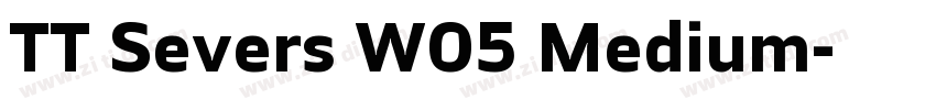 TT Severs W05 Medium字体转换